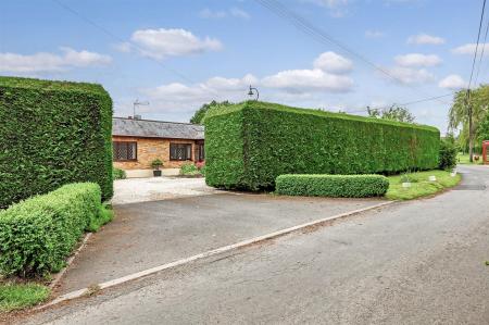 IMG_0158_23 copy.jpg