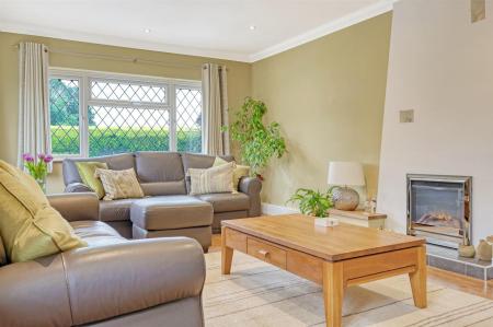 IMG_0029_5 copy 2.jpg