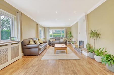 IMG_0023_4 copy 2.jpg