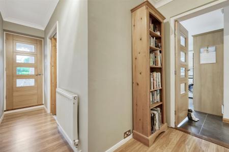 IMG_0057_9 copy 2.jpg