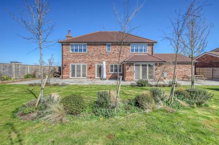 img_2931_29 copy.jpg