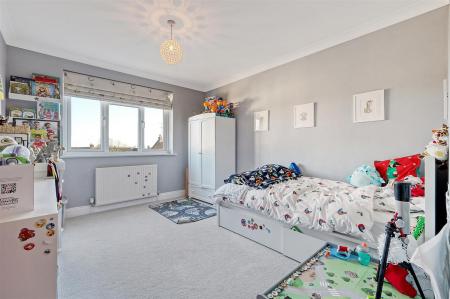 IMG_5735_19 copy 2.jpg