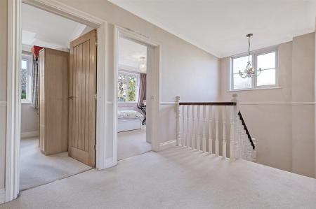 IMG_5773_25 copy 2.jpg