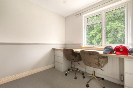 22_img_7485_15 copy 2.jpg