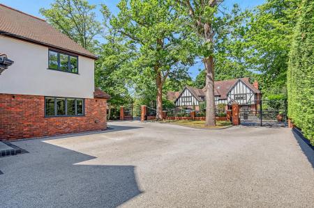 5_img_7495_61 copy.jpg