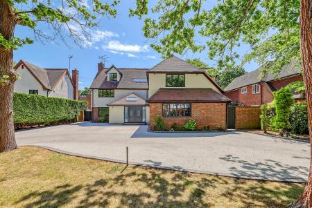 2_img_7503_62 copy.jpg