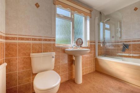 img_0036_8 copy 2.jpg