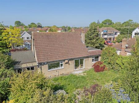 dji_20250513095453_0090_d copy.jpg