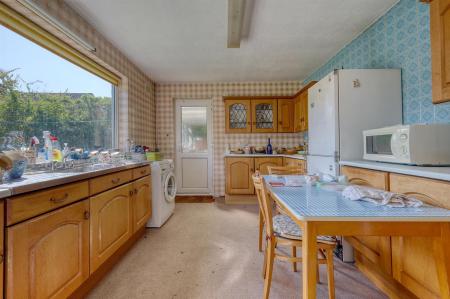 img_0021_5 copy 2.jpg