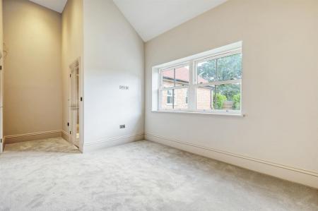 IMG_0536_13 copy 2.jpg