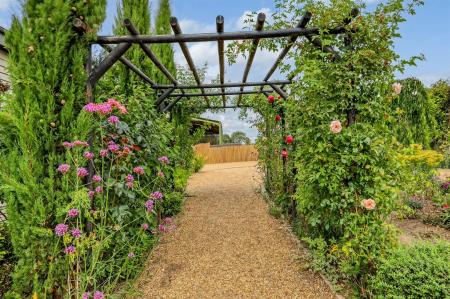 img_3356_34 copy 2.jpg