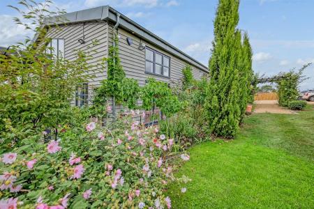 img_3342_31 copy 2.jpg