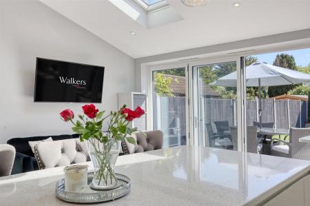 img_2153_15 copy 2.jpg