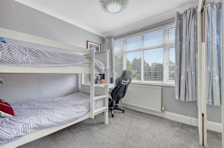 img_2093_3 copy 2.jpg