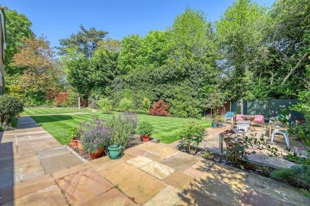 img_4253_31 copy.jpg