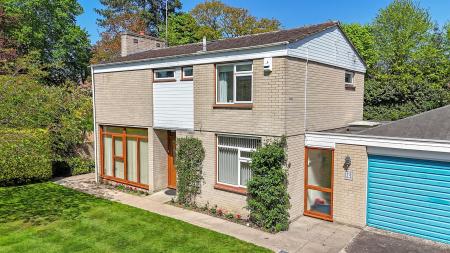 dji_20250429134606_0449_d copy.jpg