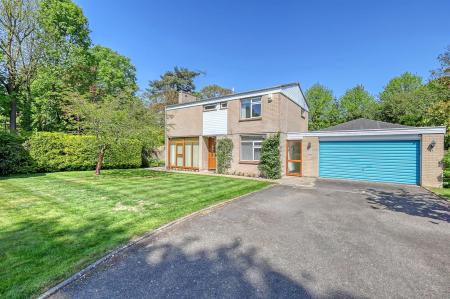 img_4318_41 copy.jpg