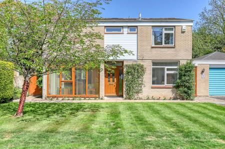 img_4312_40 copy.jpg