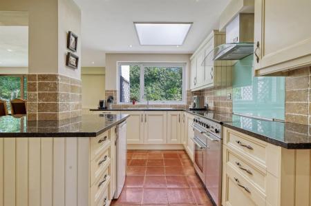 img_4084_7 copy 2.jpg