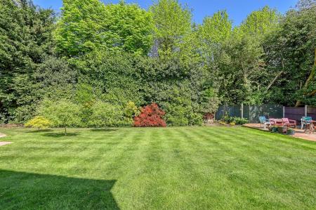 img_4278_35 copy.jpg