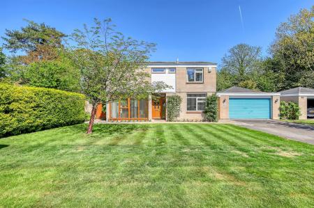 img_4305_39 copy.jpg