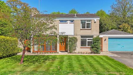 dji_20250429134502_0448_d copy.jpg