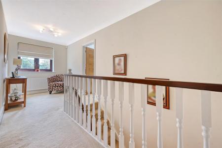 IMG_3229_33 copy.jpg