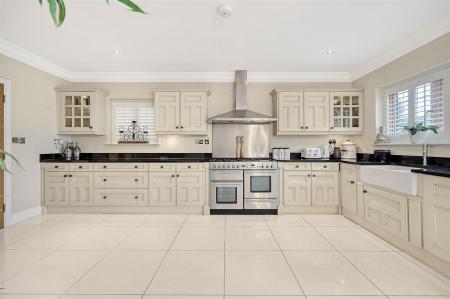 IMG_4538_26 copy.jpg