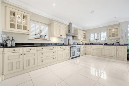 IMG_4476_17 copy.jpg