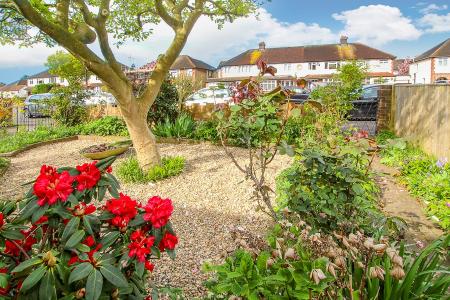 Front Garden