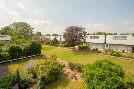 Communal Gardens