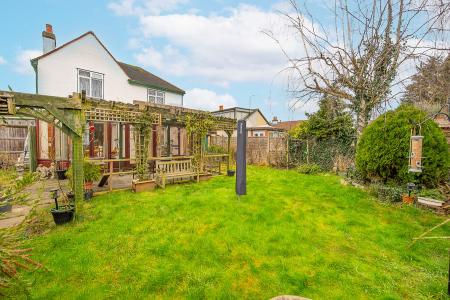 Back Garden