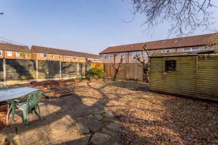 Back Garden