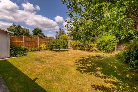Back Garden