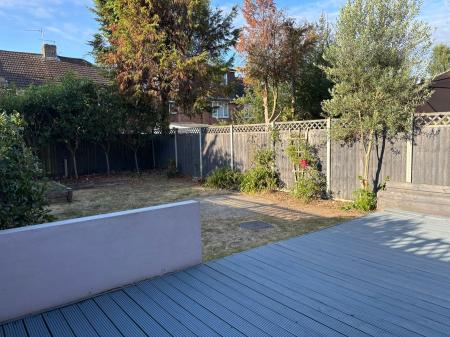 Back Garden
