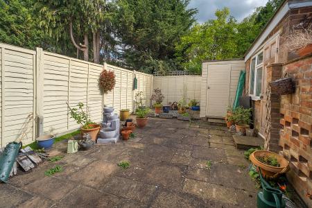Back Garden