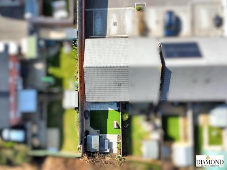 dji_fly_20250318_113038_835_1742297527693_photo_op