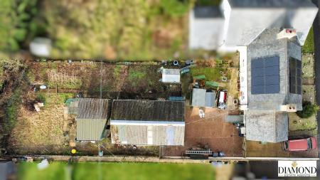 dji_fly_20250117_121656_663_1737116284982_photo_optimized.jpg