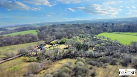 dji_fly_20250410_123754_983_1744289211140_photo_optimized.jpg