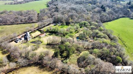 dji_fly_20250410_121608_919_1744283783928_photo_optimized.jpg