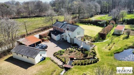 dji_fly_20250410_122318_930_1744289304486_photo_optimized.jpg