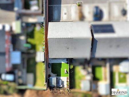 dji_fly_20250318_113038_835_1742297527693_photo_optimized.jpg