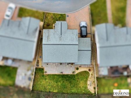 dji_fly_20250317_105748_816_1742209371902_photo_optimized.jpg