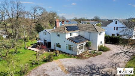 dji_fly_20250409_131356_886_1744201173124_photo_optimized.jpg