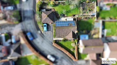 dji_fly_20250227_120612_726_1740658283726_photo_optimized.jpg