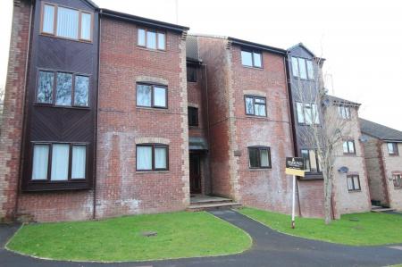 to let front.JPG