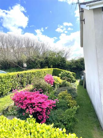 Side Garden