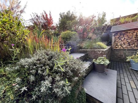 Garden - Summer 2023