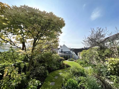 Garden - Summer 2023