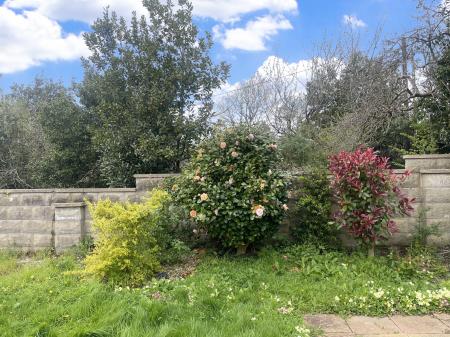 Back Garden
